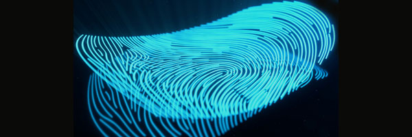 A thumbprint as it touches a screen.